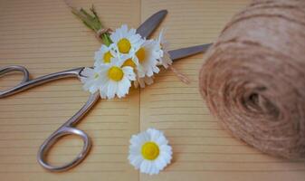 Blumen auf Buch Hintergrund foto