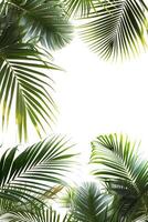 ai generiert Palme Blätter mit Raum auf Weiß Hintergrund foto