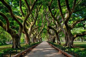 ai generiert Bangkok Park rühmt sich groß Baum und malerisch Gehweg foto