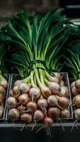 ai generiert Gegenstand frisch Bündel von Schalotten, kulinarisch Zutat im Markt Anzeige Vertikale Handy, Mobiltelefon Hintergrund foto