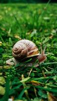 ai generiert Schnecke erforscht Stadt Park, mischen in natürlich Umfeld Vertikale Handy, Mobiltelefon Hintergrund foto