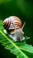 ai generiert Schnecke kriecht entlang Blatt, präsentieren kompliziert Einzelheiten im Makro Aussicht Vertikale Handy, Mobiltelefon Hintergrund foto