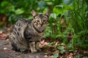 ai generiert streunend Katze strahlt aus ein wild Charme im es ist wild Umgebung foto