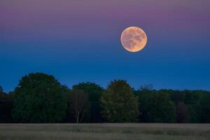 ai generiert voll Ernte Mond leuchtet Nacht Himmel auf September 13., 2019 foto