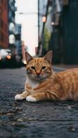 ai generiert Orange Katze Lounges bequem auf das städtisch Straßen Vertikale Handy, Mobiltelefon Hintergrund foto