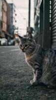 ai generiert grau Straße Katze beobachtet Umfeld im draussen städtisch Rahmen Vertikale Handy, Mobiltelefon Hintergrund foto