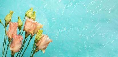 transparent nass Glas, Eustoma modisch Pfirsich Farbe Blumen auf Türkis kreativ Blumen- Karte Vorlage foto