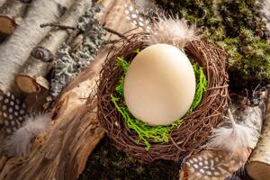 Ostern natürlich Hintergrund mit Beige Ei im Nest auf Hintergrund von Moos, Zauberstäbe, Treibholz, Gefieder. foto