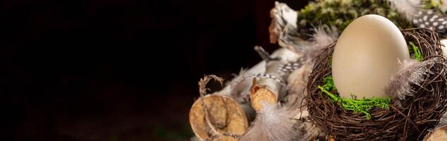 Ostern natürlich Banner. Beige Ei im Nest auf Hintergrund von hölzern Zauberstäbe, Moos, Gefieder und dunkel. foto