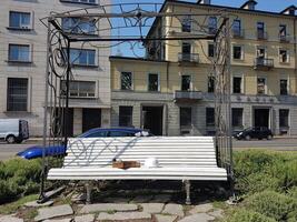 Gehen im das historisch Center von das Stadt. foto