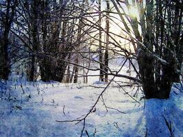 Digital Aquarell Stil von ein sonnig Winter Tag im das Wald im das Norden von Skandinavien foto