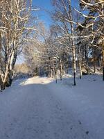 Winter auf das Stadtrand von Stockholm foto