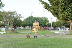 Frau Gehen mit ihr Haustier im ein Öffentlichkeit Garten beim Sonnenuntergang. Haustier Liebhaber. foto