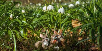 ein Sanft Blume blühen im ein Natur Garten foto