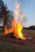 ein Lagerfeuer brennt gefährlich im ein Feld foto