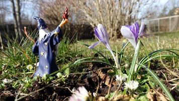 Frühling werden Kommen Sie ebenfalls mit das Hilfe von Merlin Magier foto