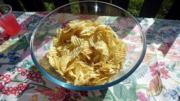 ein Schüssel von Kartoffel Chips auf das Tabelle im das Garten foto