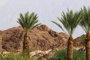 Timna Berg Angebot im eilat im Süd- Israel. foto