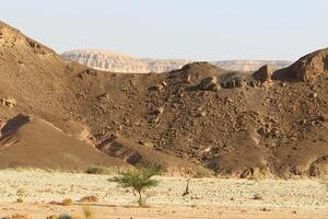 Timna Berg Angebot im eilat im Süd- Israel. foto