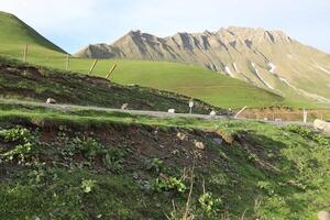 Landschaft in den Bergen im Norden Israels. foto