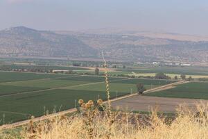 Landschaft in den Bergen im Norden Israels. foto