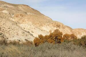 das negev ist ein Wüste im das Mitte Ost, gelegen im Israel und besetzend Über 60 von es ist Gebiet. foto