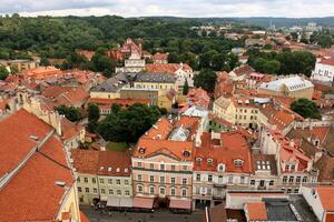 02 07 2023 vilnius Litauen. vilnius ist das Hauptstadt und größten Stadt von Litauen. es ist gelegen im das Süd-Ost von Litauen auf das vilnius Fluss. foto