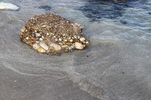 Steine und Muscheln auf das Ufer von das Mittelmeer Meer. foto