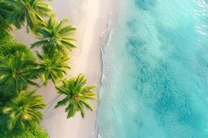 Foto entspannend Antenne Strand Szene Sommer- Ferien