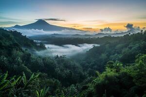 Foto Sonnenaufgang Über bali Urwald