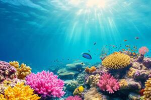 Foto Koralle Riff im das Meer
