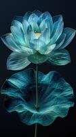 irisierend Nahansicht von ein Lotus Blume auf schwarz Hintergrund foto