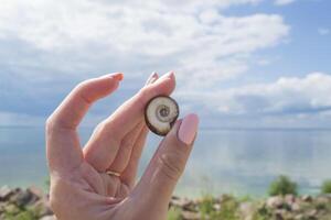 weiblich Hand halten ein Muschel, gegen ein schön Seelandschaft Hintergrund. foto