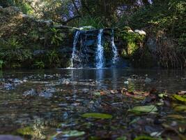 Grün Wald mit lakle und Wasserfall foto