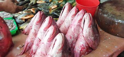 frisch roh Fisch Verkauf beim traditionell Markt. Fisch beschwingt Farbe Hintergrund foto