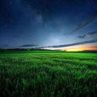 Grün Feld mit Sterne im das Nacht Himmel foto