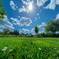 hell Sonne Über Gras Feld foto