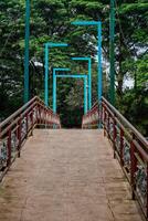 sieht aus schön von das Suspension Brücke im das Stadt Park. foto