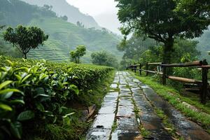 schön Tee Plantage im das Regen. generiert durch künstlich Intelligenz foto