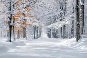 ein winterlich Landschaft mit ein Wald Weg. . foto