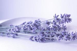 trocknen Sie Lavendel in einem Blatt Papier. foto