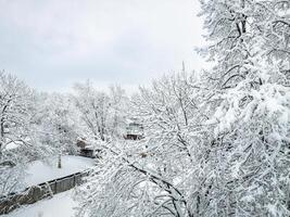 Winter Morgen Über Hinterhöfe im Fort collins im Nord Colorado nach ein schwer Schneesturm, Antenne Aussicht foto