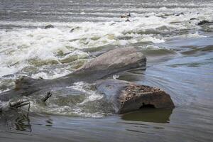 ein fest schnell beim niedrig Wasser Damm auf das Mississippi Fluss beim Kette von Felsen mit entfernt Wildwasser Kajakfahrer. foto