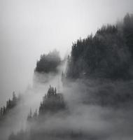 Nebel und Nebel auf steilen Bergen in der Nähe von Shakes Lake, Alaska?