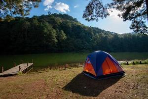 Camping im Pinienwald foto