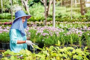 glückliche Arbeiterin asiatische Frau mit dem Pflanzen von Blumen, die sich um Blumen im Gewächshaus kümmert. foto