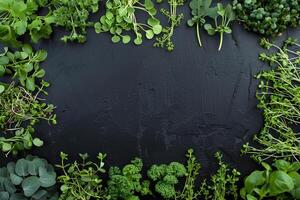 Grün Essen Rahmen gemacht mit gesund Baby Microgreens auf schwarz Tisch, eben legen. Raum zum Text, organisch Hintergrund foto