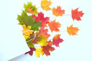 Herbstverkauf. Papiertüte mit herbstlichen Ahornblättern. Einkaufskonzept foto