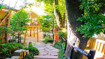 das golden torii Tor von Tanashi-Kette Schrein Tanashi Schrein, ein Schrein im Nishi-Tokio Stadt, Tokio, Japan. basierend auf das fünf Elemente Philosophie, fünf Drachen Gottheiten sind verankert innerhalb das Schrein Gründe foto