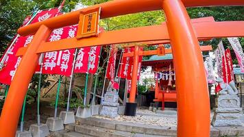 Inari Schrein, ein Schrein innerhalb das Bezirke von Tanashi-Kette Schrein Tanashi Schrein, ein Schrein im Nishi-Tokio Stadt, Tokio, Japan. basierend auf das fünf Elemente Philosophie, fünf Drachen Gottheiten sind verankert foto